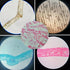 Prepared Plastic Microscope Slides with Specimens for Kids, 60PCS Animal/Plant/Insect/Blood Biology Slides