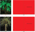 The Best Card Company - 20 Season's Greeting Cards (10 Designs, 2 Each) - Holiday Palms Assortment AM3273SGG-B2x10