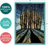 Tree-Free Greetings Solstice Cards and Envelopes, Set of 10, 5 x 7", Winter Solstice