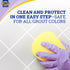 32 OZ (Pack 1) 2-in-1 Zep Home Pro Foaming Miracle Grout Cleaner & Protectant - Fl. - of for Sparkling Clean Grout