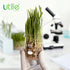 Utile Beaker Set, 1pc Low Form Heavy Duty Glass Beaker, 4000mL, Borosilicate 3.3 Glass