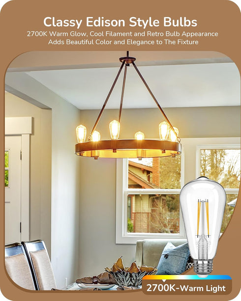 EDISHINE Vintage LED Edison Bulbs 6 Pack, 8W Equivalent 60W, ST64 Dimmable 700LM 2700K Warm White E26 Base