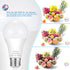 100W Equivalent Light Bulb, 12W E26 LED Bulbs, Non-Dimmable, Daylight White 6500K, 4-Pack