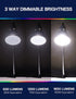 2 Pack 3 Way LED Light Bulbs, 30 70 100W Equivalent, Daylight White 5000K A19 E26, Indoor 3-Way Light Bulbs for Desk &