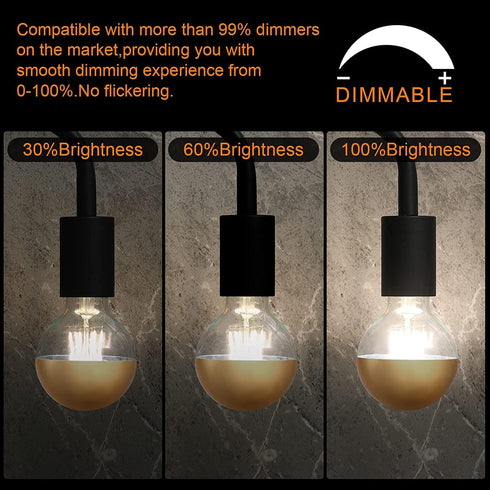 Bulb, 6W( 60W Bulbs,Dimmable G80/G25 2700K White,E26 ,Pack 2 1pcs Half Chrome Edison Light Eqv.) LED Edison Globe