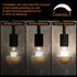 Bulb, 6W( 60W Bulbs,Dimmable G80/G25 2700K White,E26 ,Pack 2 1pcs Half Chrome Edison Light Eqv.) LED Edison Globe