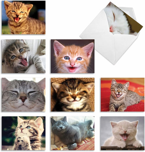 The Best Card Company 10 Assorted Thank You Notes Bulk Box Set with Envelopes (10 Designs, 1 Each) Smitten Kittens