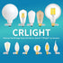 5-inch 12W 5000K Dimmable Bulb, G125 G40 80W 800LM, E26 5 Inch Dimming CRLight Opal Daylight Large Globe LED /