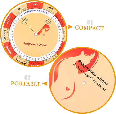 2Pcs PartyKindom Pregnancy Wheel Fetal Development Chart Poster for Expecting Mothers Guide Timeline Present for Moms