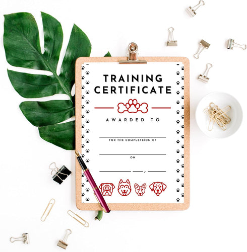 Pet Training Certificate of Completion | 50 pk 8.5 x 11” for Dog Trainers and Service Animal Graduation