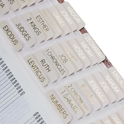 XKDOUS - Laminated Bible Tabs with Book Summaries, Large Print Gold Foil Bible