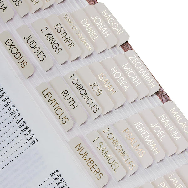 XKDOUS - Laminated Bible Tabs with Book Summaries, Large Print Gold Foil Bible