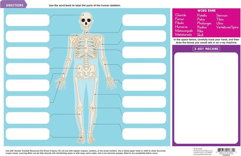 Teacher Created Resources (TCR21028) Human Skeleton Learning Mat