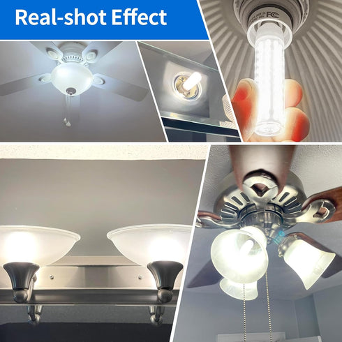 Dimmable JDE11 Bulbs 120V 100W Bulbs T6 E11 Bulb, 6000K 10W 1100lm E11 Fan,2Pcs ZHENMING Led Halogen Candelabra