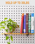 INCLY 60 Pack 6 Inch Black Pegboard Hooks, 1/4" Heavy Duty Accessories for Pegboard Tool Hangers