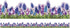 Eureka Curiosity Garden Floral Extra Wide Decorative Classroom Bulletin Board Trim for Teachers, 3.25" Wide, 12 Strips