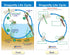 NewPath Learning Life Cycles Bulletin Board Charts, Set/8, Laminated, 12" x 18" (94-1504)