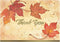 Great Papers! Fall Leaves, Folded, Thank You Note Card, 50 count, 4.875"
