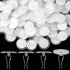 60 Pack Self-Adhesive Ceiling Hooks for Hanging, Damage-Free No-Drill Transparent Wall Hanger