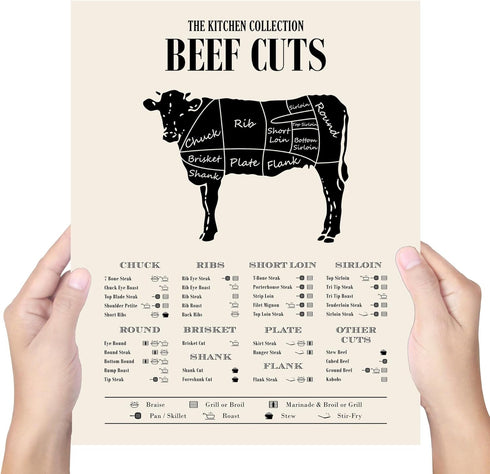 TMO2 Cuts of Meat Poster - Beef Cuts Chart - (11x14') Unframed