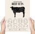 TMO2 Cuts of Meat Poster - Beef Cuts Chart - (11x14') Unframed
