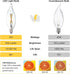 12 Pack E12 Bulb 20 2W 2700K Bulbs, CA10 C32 Bulbs Candelabra LED Watt Equivalent, Clear Soft Warm White Light Flame