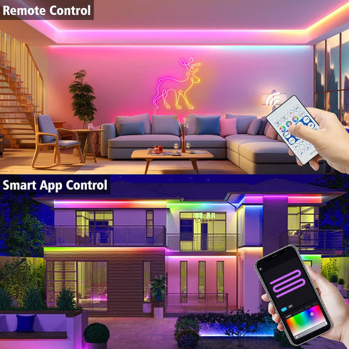 16.4Ft DBFAIRY Smart Neon Rope Light, RGB Color Changing IC Neon Rope Lights with App Remote Music Sync, Silicone