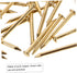 GLEAVI Small Nails 100 Pcs Copper Nails, Decorative Tiny Screws for Furniture Finge Gold Decor