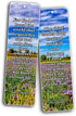 NewEights Life Bible Verses Bookmarks NIV (30 Pack) - Daily Motivational Reminder About God’s Grace