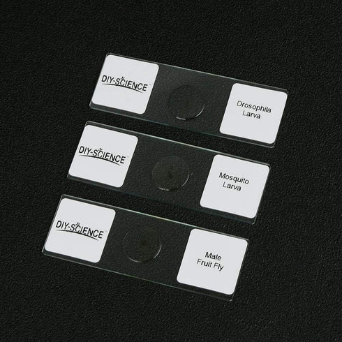 Prepared Whole Insects Microscope Slides Set, 10pcs Specimens for Kids Students Biology Class, Educational Gift