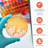 Revanak 10 Mold Testing Kit for Home Air Quality - Test Room, DIY Home Mold Detector Kit, Home Air & Surface, HVAC
