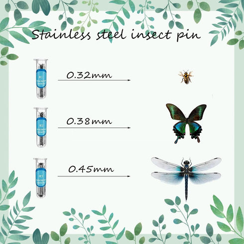 Dddzerong Butterfly Specimen Kit Includes pins, mounting Board, Spreading Tools, Display case, Labels, Forceps