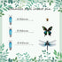 Dddzerong Butterfly Specimen Kit Includes pins, mounting Board, Spreading Tools, Display case, Labels, Forceps