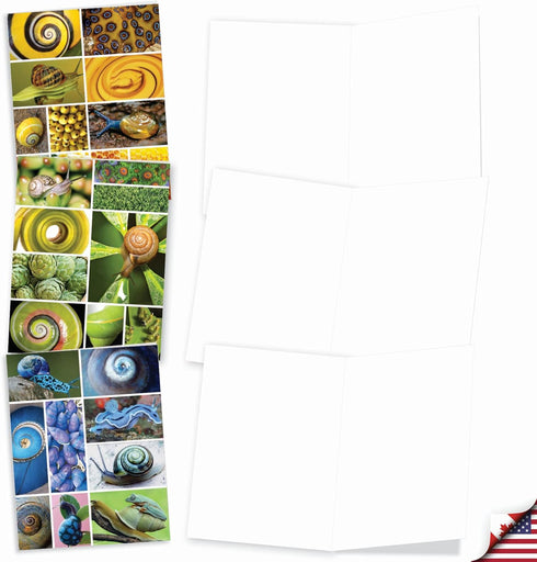 The Best Card Company - 10 Assorted Blank Note Cards Bulk Box Set (4 x 5.12 Inch) with Envelopes