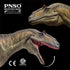 75 Collector's PVC Model: Donald The Saurophaganax Dinosaur Figure