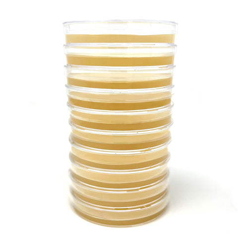 Malt Yeast Extract Agar Plates (MYA) - 10 Sterile Prepoured Petri Dishes for Mushroom Cultivation & Science
