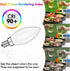 FUTIME 6Pack B11 E12 Bulbs, 5W 40 Bulbs,Warm 2700K Dimmable Bulb 450LM Bulb LED Candelabra Equal watt Edison Light