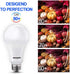150 Watt LED Light Bulb, Super Bright A21 5000K Daylight, Non-Dimmable, 2300lm, High Lumen, UL Listed, 2-Pack