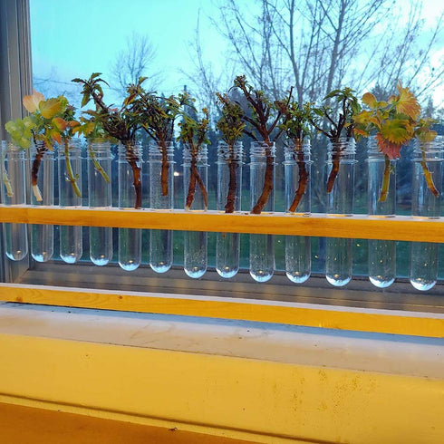 25PCS Test Tubes, 40ml Clear Plastic Test Tubes with Screw Caps, 25x140mm for Sample, Science Party