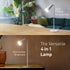 LYTUP 4-in-1 4-Level 270 Flute Lamp - Rechargeable LED Desk, Wall, Clamp Lamp & Flashlight with Magnetic Base
