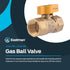 Eastman 1/2 Inch FIP Gas Ball Valve, Brass Connectors and Fittings for Natural Gas and Liquid Propane, 60009B by EASTMAN