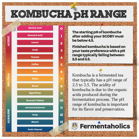 Kombucha pH Test Strips - 100 Test Sticks | pH Range 0-6 | Instant Read for Brewing, Food Service, and Fermentation