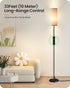 Dimmable 10W 900LM Bulb 3000K-6500K, H06LD05W1 Gray Floor Lamp for Living Room with Remote and Foot Switch, Corner