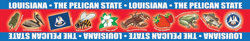 Louisiana Borders for Bulletin Boards by GALLOPADE