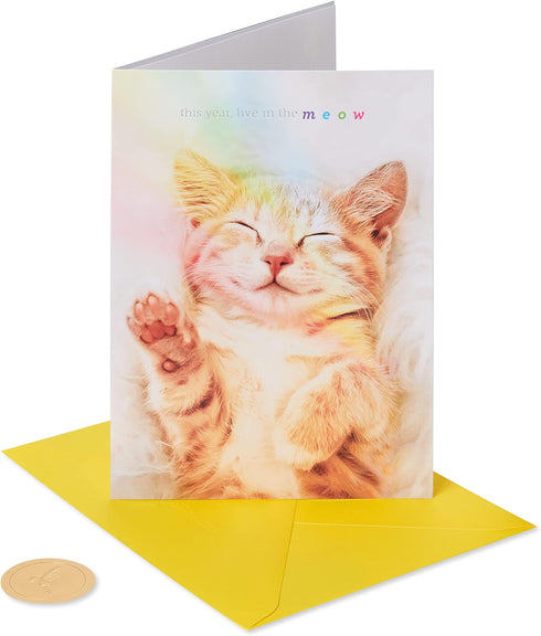 Papyrus Cat Birthday Card (Happy Birthday)