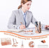 Rose Gold Desk Organizers Set with Stapler, Pen Holder, Phone Holder, Scissors, Ruler, Clips, Tacks, and Staples