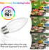 FUTIME 6Pack B11 E26 Bulbs, 5W 40 Bulbs,Warm 2700K Dimmable Bulb 450LM Bulb LED Candelabra Equal watt Edison Light