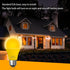 Dusk to Dawn Bug Light Bulb, Outdoor, 2 Pack Amber, Auto On/Off, 10W (100W Equivalent), E26 Base, Decorative Lamps