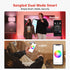 Sengled Bulbs Bulbs, Bulbs 2700K-6500K Dimmable, 60W, (4P+ 1 Dual Mode Smart Light with Remote & App Control, Color