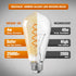 Decoaui ST64 E26 Bulbs, Dimmable, 4W(40W 300 2500K 25000 1-Pack LED Vintage Edison Light Light Amber Glass, Equivalent)
